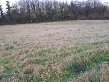 Terrain a batir a vendre 80 Somme 6285 m2  79000 euros