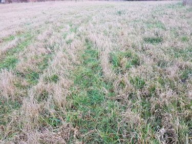 Terrain a batir a vendre 80 Somme 6285 m2  79000 euros