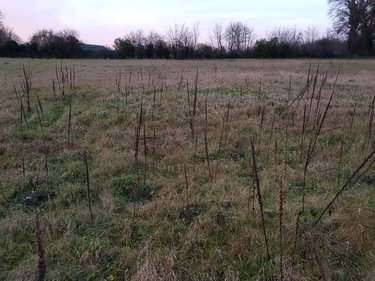 Terrain a batir a vendre 80 Somme 6285 m2  79000 euros