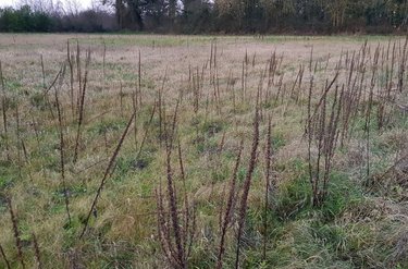 Terrain a batir a vendre 80 Somme 6285 m2  79000 euros