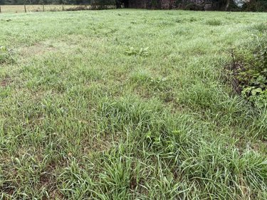 Terrain a batir a vendre Ponthoile 80860 Somme 1000 m2  49500 euros