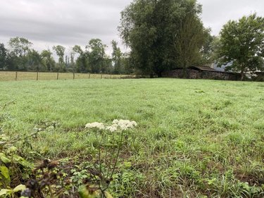 Terrain a batir a vendre Ponthoile 80860 Somme 800 m2  51500 euros