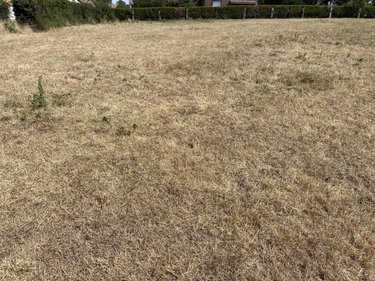 Terrain a batir a vendre Vron 80120 Somme 4499 m2  94900 euros