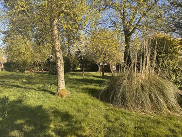 Terrain a batir a vendre Vironchaux 80150 Somme 710 m2  37500 euros