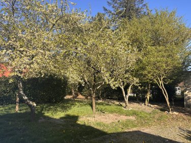 Terrain a batir a vendre Vironchaux 80150 Somme 710 m2  37500 euros