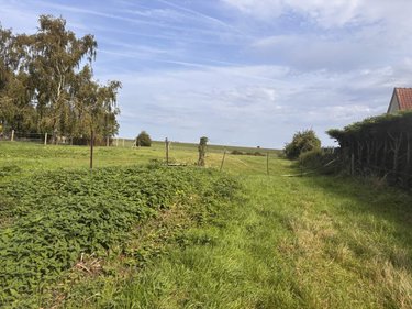 Terrain a batir a vendre Dominois 80120 Somme 2490 m2  49500 euros