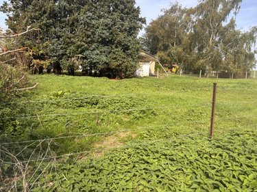 Terrain a batir a vendre Dominois 80120 Somme 2490 m2  49500 euros