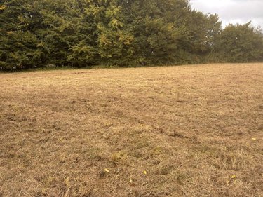 Terrain a batir a vendre Machy 80150 Somme 8578 m2  42500 euros