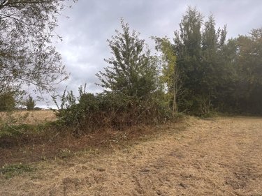 Terrain a batir a vendre Machy 80150 Somme 8578 m2  47500 euros