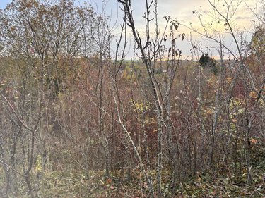 Terrains de loisirs bois etangs a vendre Auxi-le-Château 62390 Pas-de-Calais 5694 m2  23500 euros