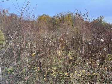 Terrains de loisirs bois etangs a vendre Auxi-le-Château 62390 Pas-de-Calais 5694 m2  23500 euros