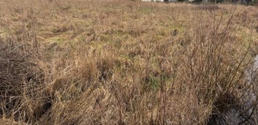 Terrain a batir a vendre Rue 80120 Somme 1675 m2  76880 euros