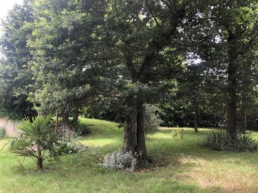 Maison a vendre Dissay 86130 Vienne 232 m2 6 pièces 273000 euros