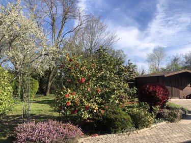 Maison a vendre Châtellerault 86100 Vienne 210 m2 5 pièces 349000 euros