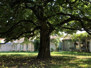 Maison a vendre Saint-Benoît 86280 Vienne 129 m2 5 pièces 299000 euros