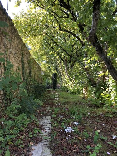Maison a vendre Saint-Benoît 86280 Vienne 129 m2 5 pièces 299000 euros