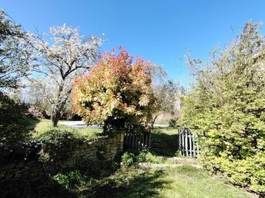 Maison a vendre Mirebeau 86110 Vienne 191 m2 5 pièces 299000 euros