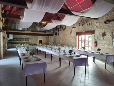 propriete a vendre Martizay 36220 Indre 271 m2 10 pièces 699000 euros