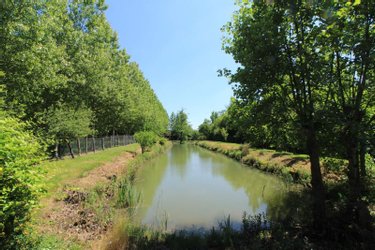 Terrains de loisirs bois etangs a vendre Chiré-en-Montreuil 86190 Vienne 10000 m2  28600 euros