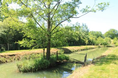 Terrains de loisirs bois etangs a vendre Chiré-en-Montreuil 86190 Vienne 10000 m2  28600 euros