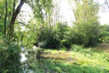 Maison a vendre Chiré-en-Montreuil 86190 Vienne 186 m2 7 pièces 175000 euros