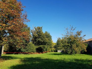 Terrain a batir a vendre Chiré-en-Montreuil 86190 Vienne 1700 m2  44000 euros