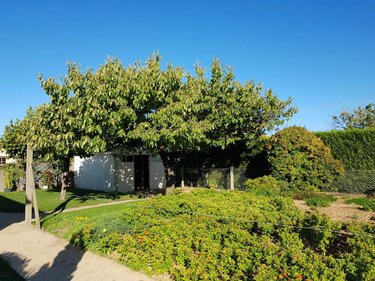 Maison a vendre Neuville-de-Poitou 86170 Vienne 107 m2 5 pièces 198000 euros