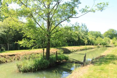 Terrains de loisirs bois etangs a vendre Chiré-en-Montreuil 86190 Vienne 1900 m2  10000 euros