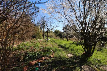 Maison a vendre La Chapelle-du-Mont-de-France 71520 Saône-et-Loire 160 m2 6 pièces 195000 euros