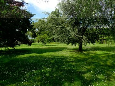 Terrain a batir a vendre Saint-Julien-l'Ars 86800 Vienne 810 m2  67800 euros