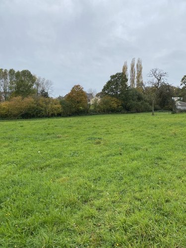 Maison a vendre Beaulieu 14350 Calvados 93 m2 3 pièces 126600 euros