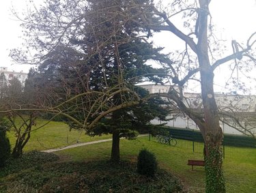 Location appartement Reims 51100 Marne 43 m2 2 pièces 610 euros