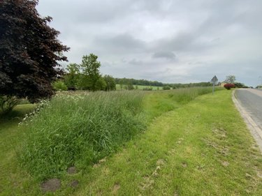 Terrain a batir a vendre Saint-Euphraise-et-Clairizet 51390 Marne 833 m2  110500 euros