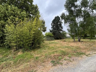 Terrain a batir a vendre Cerelles 37390 Indre-et-Loire 978 m2  116600 euros