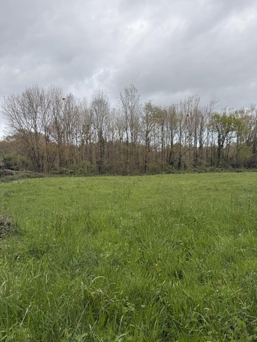 Terrains de loisirs bois etangs a vendre Saint-Julien-des-Landes 85150 Vendée 5350 m2  4800 euros