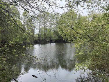 Terrains de loisirs bois etangs a vendre Saint-Martin-du-Bois 49500 Maine-et-Loire 5094 m2  48600 euros
