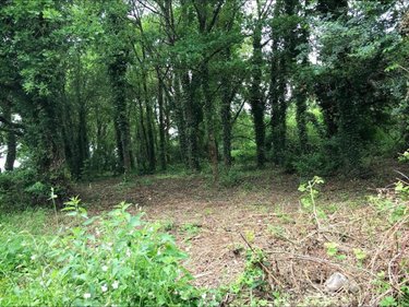 Terrain a batir a vendre Aubinges 18220 Cher 1257 m2  31500 euros