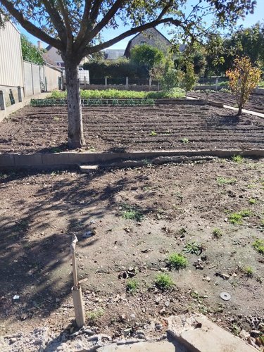 Terrain a batir a vendre La Bazoge 72650 Sarthe 340 m2  47760 euros