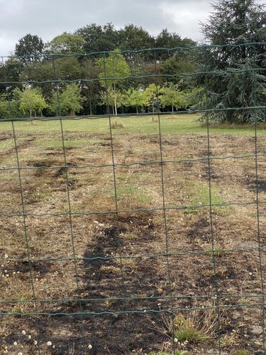 Maison a vendre Plémet 22210 Côtes-d'Armor 60 m2 3 pièces 43960 euros