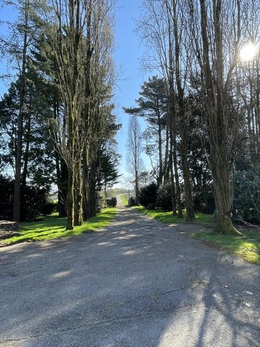 Maison a vendre La Chapelle-Neuve 56500 Morbihan 286 m2 8 pièces 571960 euros