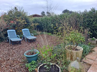 Terrains de loisirs bois etangs a vendre Ardres 62610 Pas-de-Calais 200 m2  21320 euros