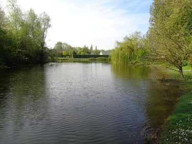 Terrains de loisirs bois etangs a vendre Annezin 62232 Pas-de-Calais 7918 m2  136500 euros