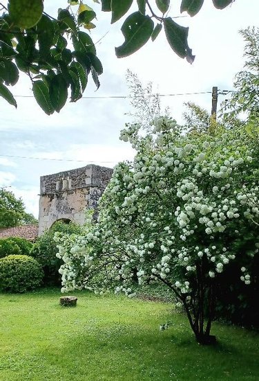 Maison a vendre Val en Vignes 79290 Deux-Sèvres 201 m2 9 pièces 281912 euros