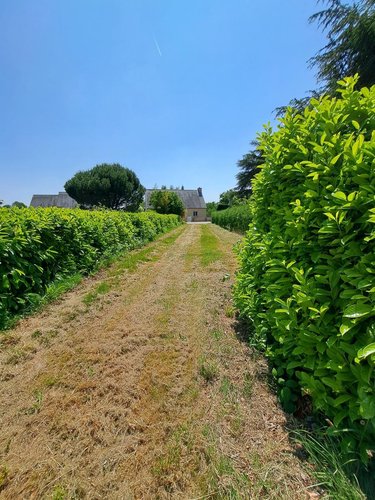 Terrain a batir a vendre Noyal-Pontivy 56920 Morbihan 1 m2  237120 euros