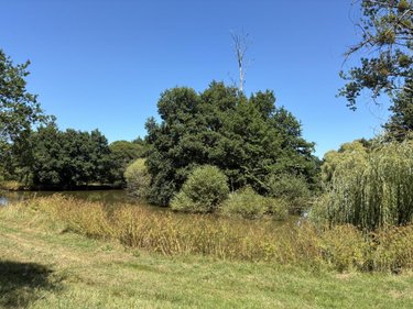 Terrains de loisirs bois etangs a vendre La Bazouge-des-Alleux 53470 Mayenne 45728 m2  120500 euros