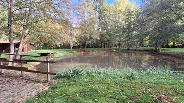 Terrains de loisirs bois etangs a vendre Rebreuve-sur-Canche 62270 Pas-de-Calais 8091 m2  99000 euros