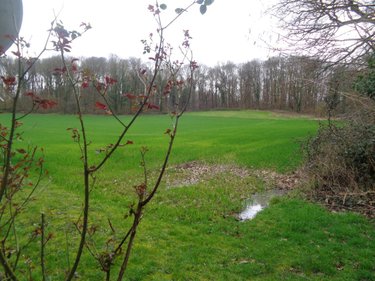 Maison a vendre Labeuvrière 62122 Pas-de-Calais 71 m2 4 pièces 136500 euros