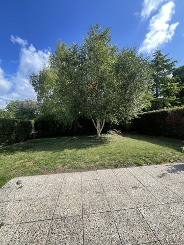 Location maison Amiens 80000 Somme 111 m2 6 pièces 1456 euros
