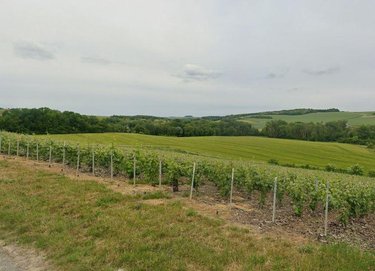 Terrains de loisirs bois etangs a vendre Passy-Grigny 51700 Marne 11771 m2  979347 euros