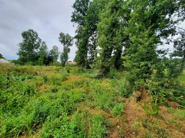 Terrain a batir a vendre Saint-Hilaire-de-Riez 85270 Vendée 2550 m2  231400 euros